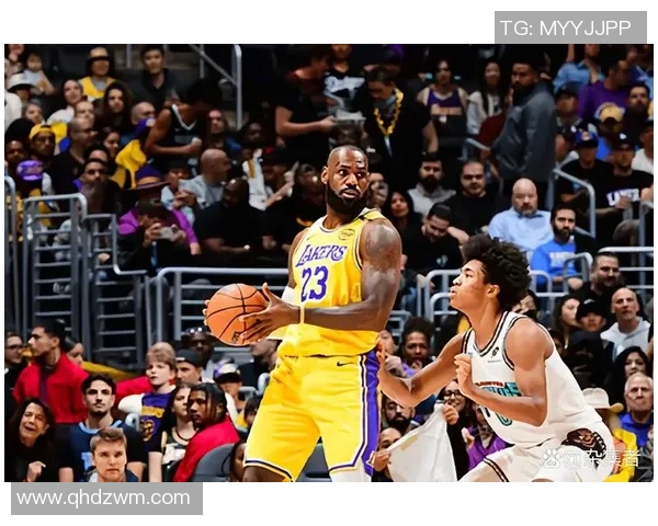 2020年湖人对阵灰熊的精彩对决回顾与分析