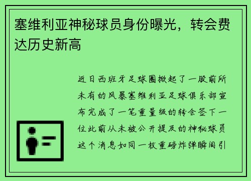 塞维利亚神秘球员身份曝光，转会费达历史新高