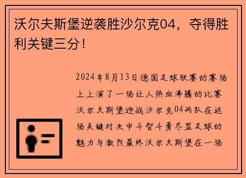沃尔夫斯堡逆袭胜沙尔克04，夺得胜利关键三分！