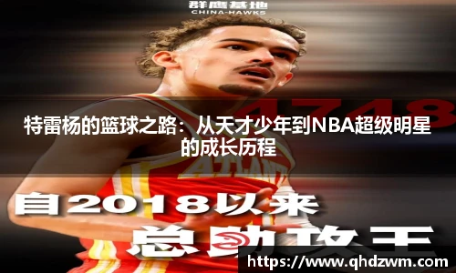 BB贝博艾弗森官网入口